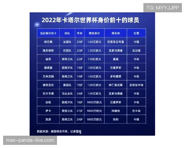 世界杯B组卡塔尔最终排名预测